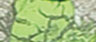Camouflage green