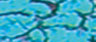 Camouflage blue